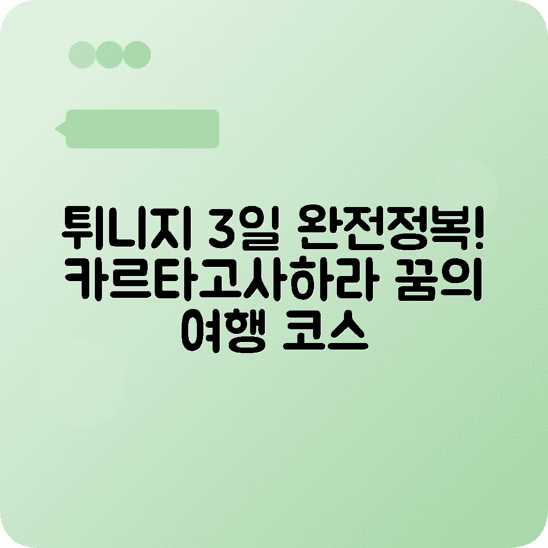 튀니지 튀니스 3박4일 여행코스 카르타고 시디부사이드 사하라사막투어