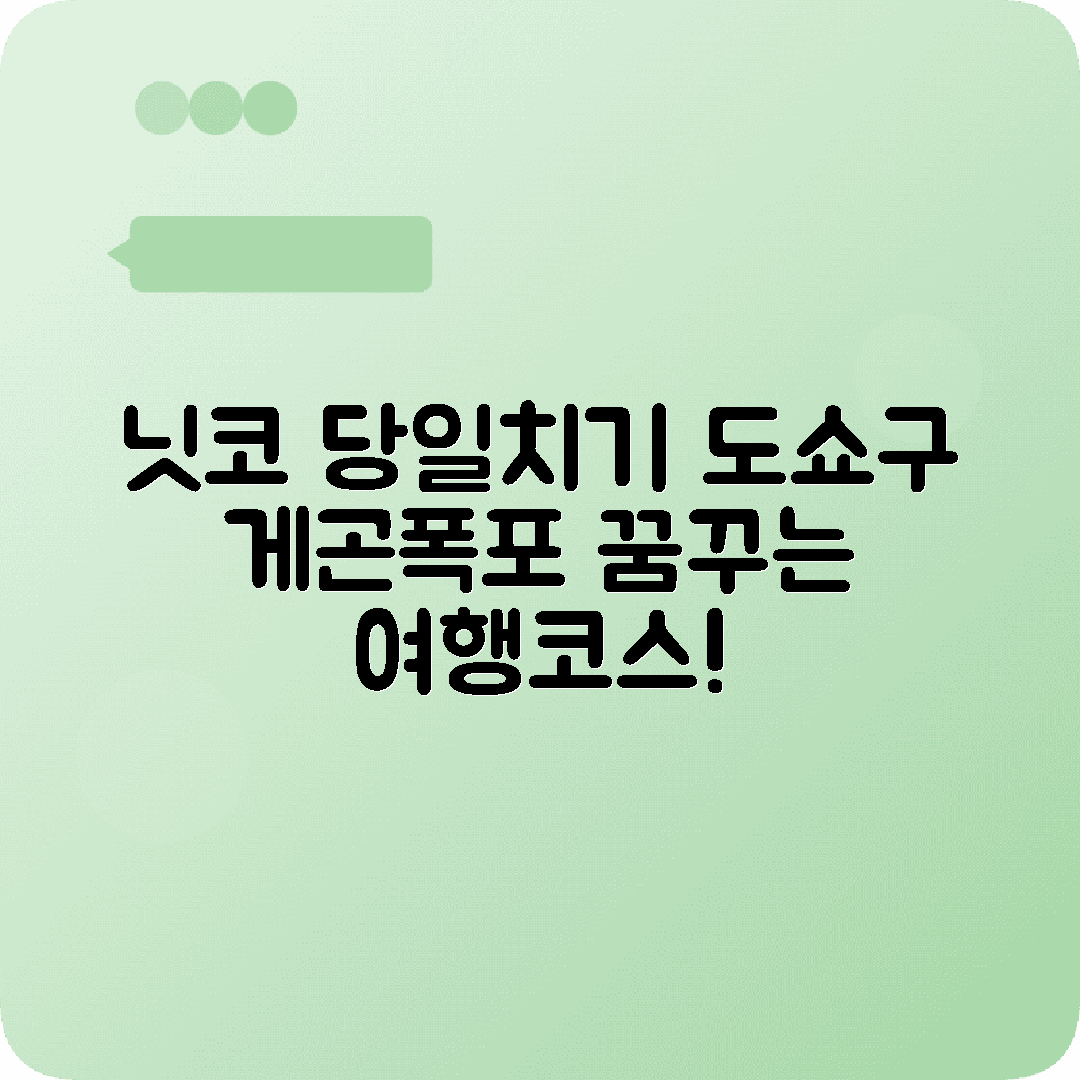 닛코 당일치기 여행코스 도쇼구 게곤폭포 중선사호
