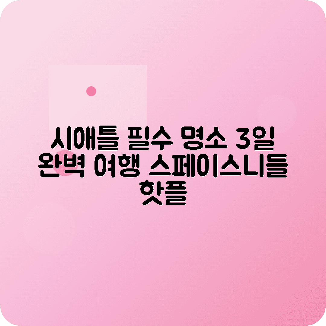 미국 시애틀 2박3일 여행코스 스페이스니들 파이크플레이스 스타벅스