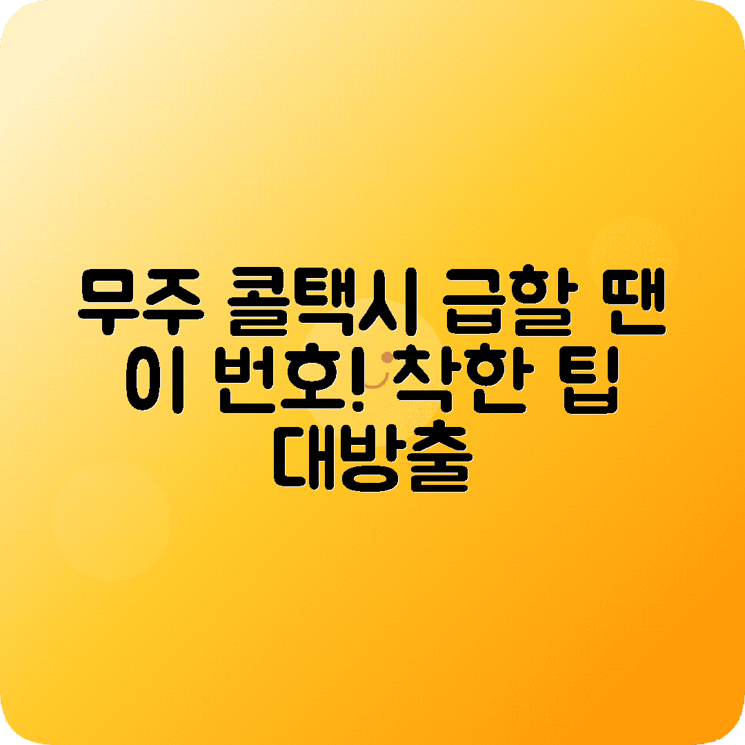 전라북도 무주군 콜택시 전화번호 꿀팁