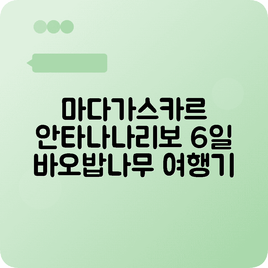 마다가스카르 안타나나리보 6박7일 여행코스 바오밥나무 안다실라국립공원