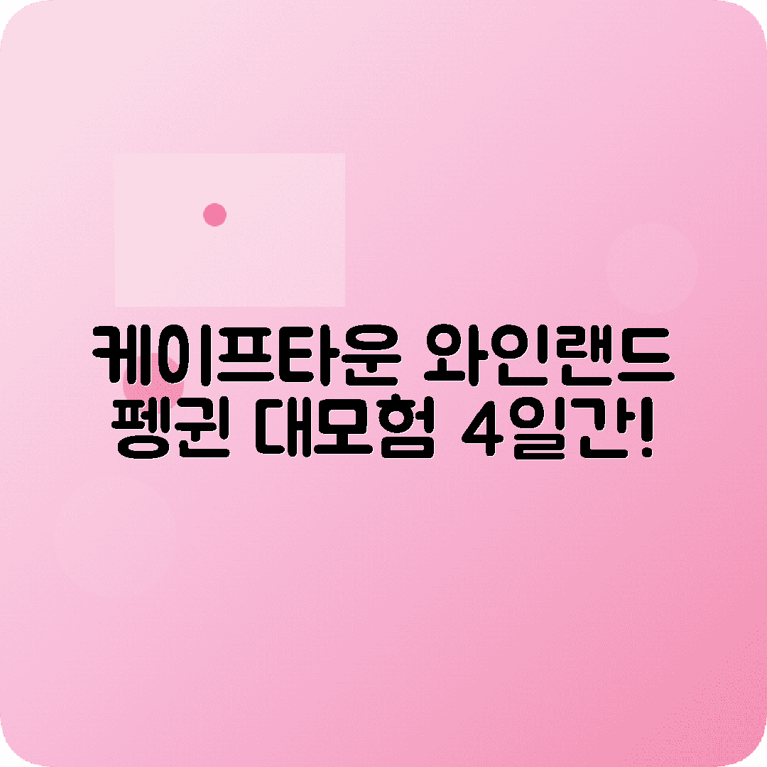 남아프리카 케이프타운 4박5일 여행코스 테이블마운틴 와인랜드 펭귄콜로니
