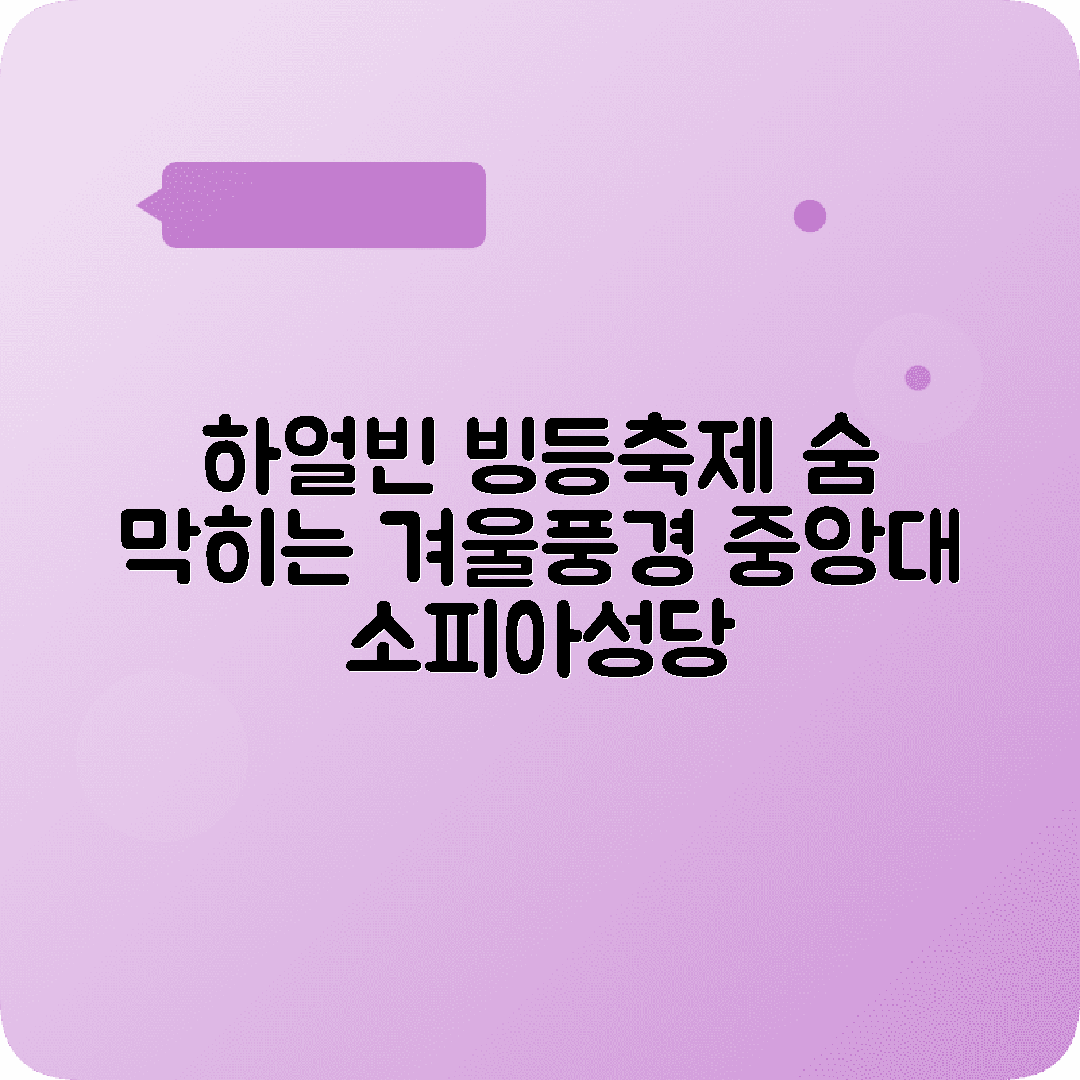 하얼빈 2박3일 여행코스 빙등축제 중앙대가 소피아성당