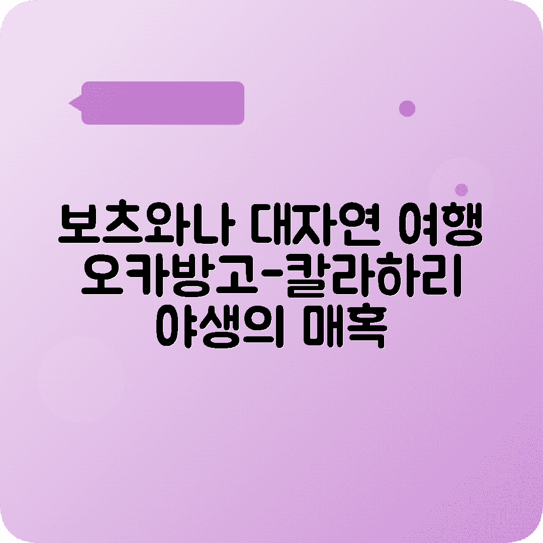 보츠와나 가보로네 4박5일 여행코스 초베국립공원 오카방고델타 칼라하리사막