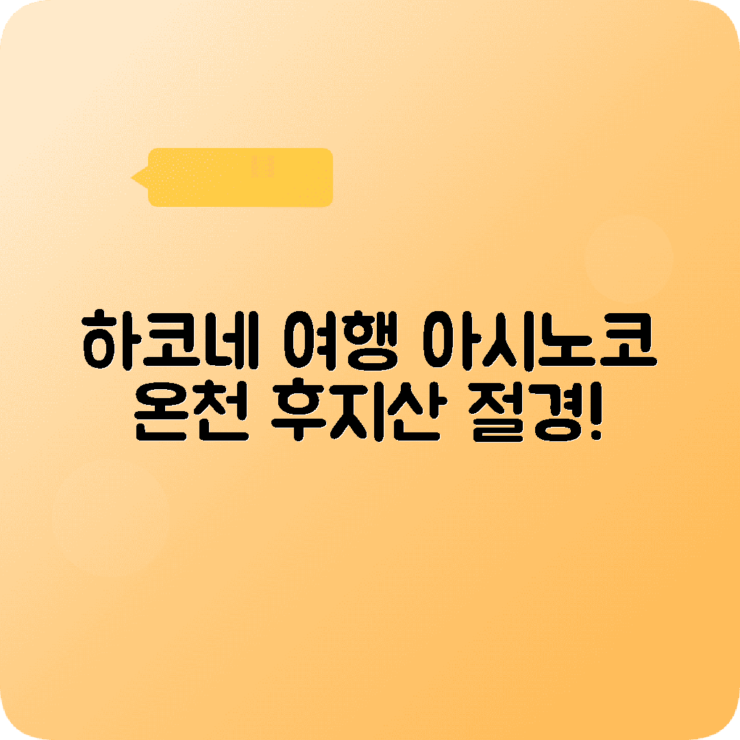 하코네 2박3일 여행코스 아시노코 온천 후지산 전망
