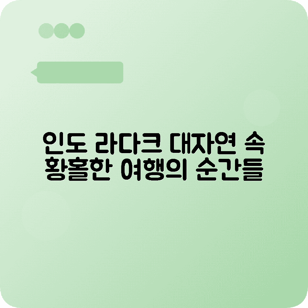 인도 라다크 5박6일 여행코스 레 팡공초 누브라밸리 카르길