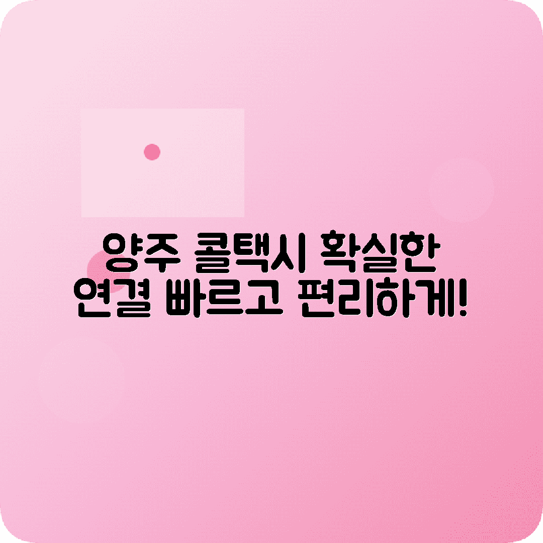 경기도 양주시 콜택시 전화번호 확실한 연결